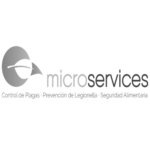 MICROSERVICES