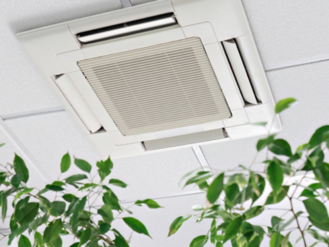 IMAGENES NOTICIAS (21)