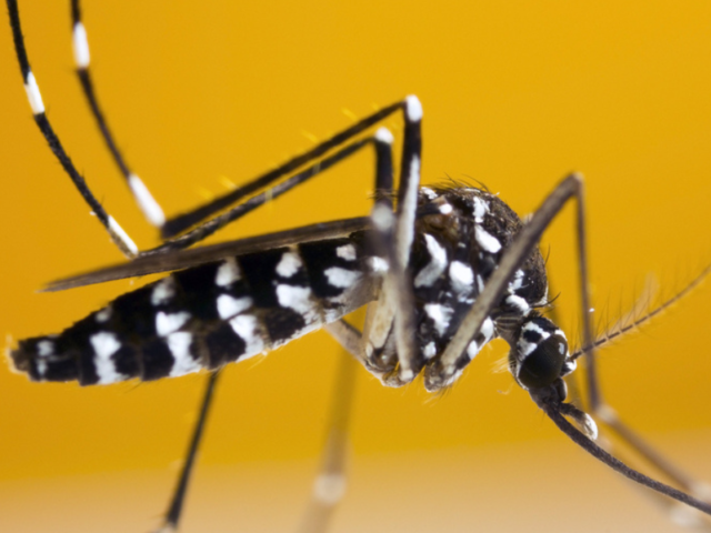 IMAGENES NOTICIAS (31)