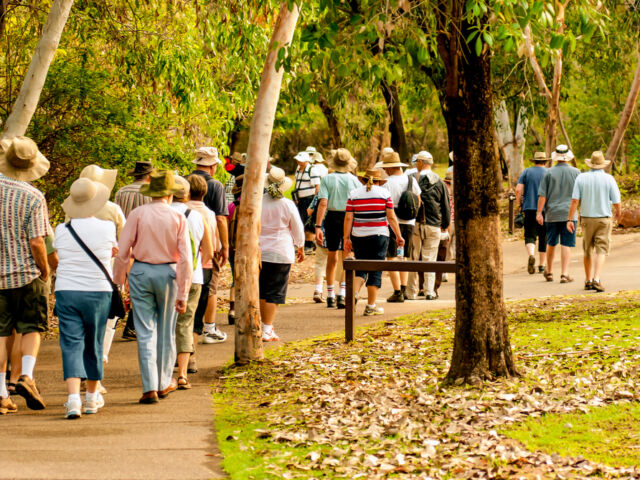Group,Of,Old,And,Healthy,People,Walking,In,The,Nature