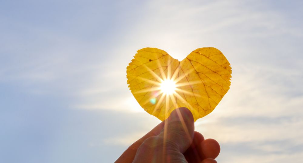 Close,Up,Shot,Of,Hand,Holding,Yellow,Leaf,Of,Heart