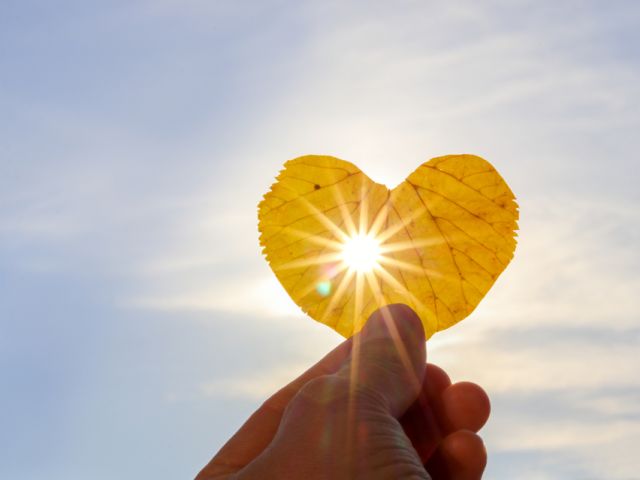 Close,Up,Shot,Of,Hand,Holding,Yellow,Leaf,Of,Heart