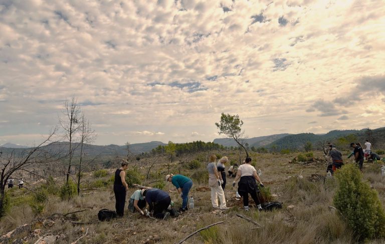 F-HOTELES-RH-RESFORESTACION-ALTOMIJARES-GRUPO-PLANTANDO